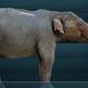 Illustration for article titled North America's First Foragers Hunted These Elephant-like Creatures